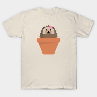 Hedgepot: hedgehog succulent in a pot T-Shirt